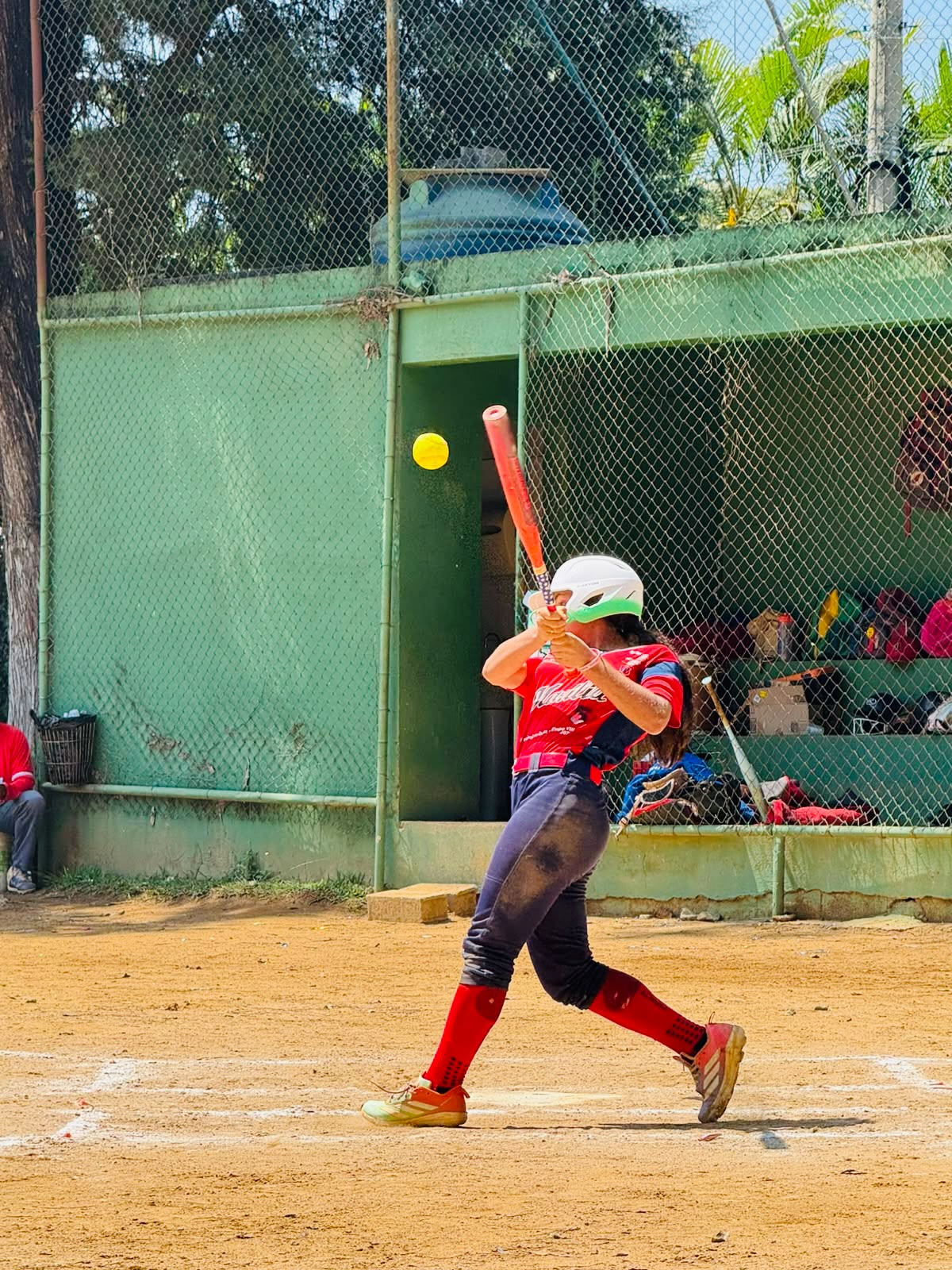 Meu sonho ⚾🇧🇷