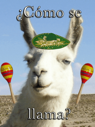 LIVE ONLY SPANISH